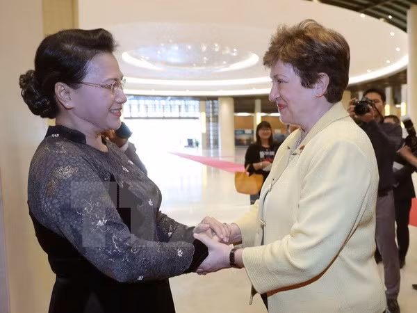 国会主席阮氏金银:越南承诺有效利用世行的援助资金 ảnh 1 国会主席阮氏金银:越南承诺有效利用世行的援助资金 ảnh 1
