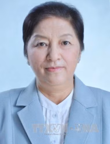 老挝国会主席巴妮·雅陶都抵达河内 开始对越南进行正式友好访问 ảnh 1