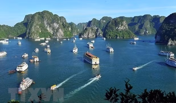 政府副总理武德儋:促进旅游业安全稳定复苏 ảnh 2 政府副总理武德儋:促进旅游业安全稳定复苏 ảnh 2