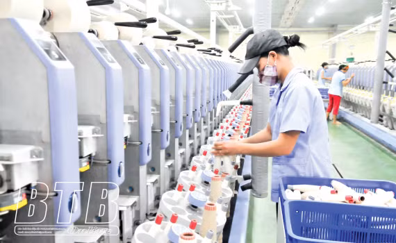 太平省成为吸引投资商的目的地 ảnh 2 太平省成为吸引投资商的目的地 ảnh 2
