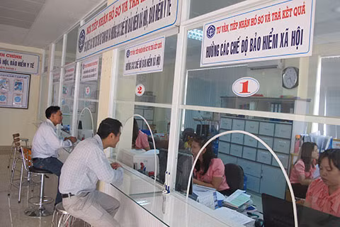 胡志明市失业保险基金拨出6万亿越盾帮助劳动者解困 ảnh 1 胡志明市失业保险基金拨出6万亿越盾帮助劳动者解困 ảnh 1