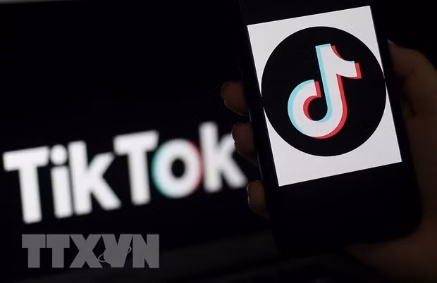 越南是TikTok旅游浏览量最高的25个国家之一 ảnh 2
