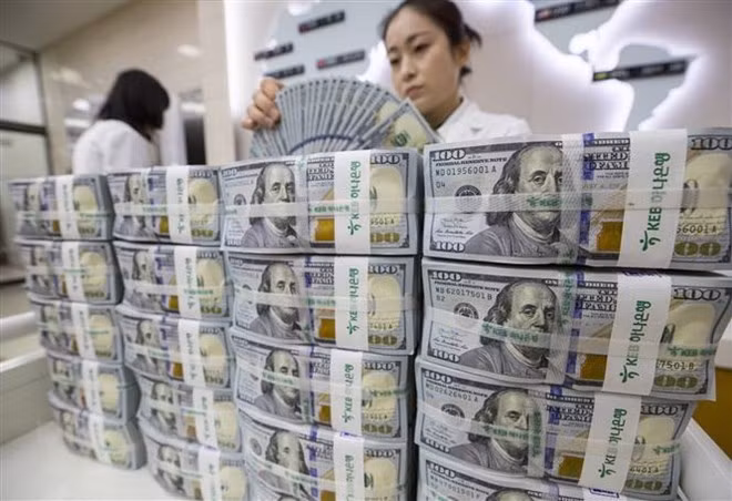尽管疫情爆发胡志明市侨汇收入增长仍达 22% ảnh 1