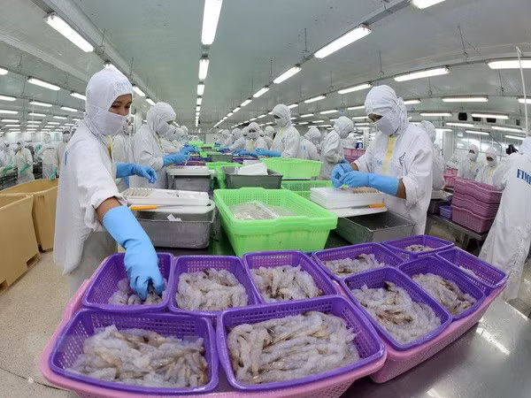 越南虾类产品在美国市场占有率增加 ảnh 1 越南虾类产品在美国市场占有率增加 ảnh 1