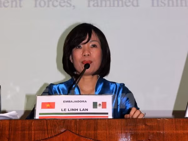 越南驻墨西哥大使谈地区安全和东海争端 ảnh 1