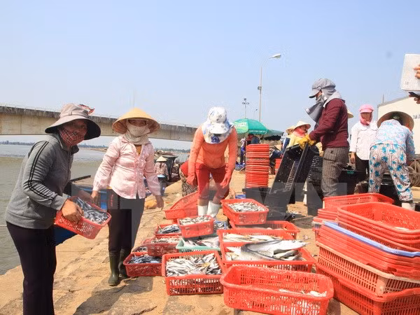 为渔民颁发安全海域的水产品安全证书 ảnh 1