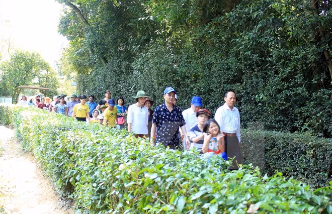 4·30和5·1假期宜安省胡伯伯故乡吸引游客量猛增 ảnh 1