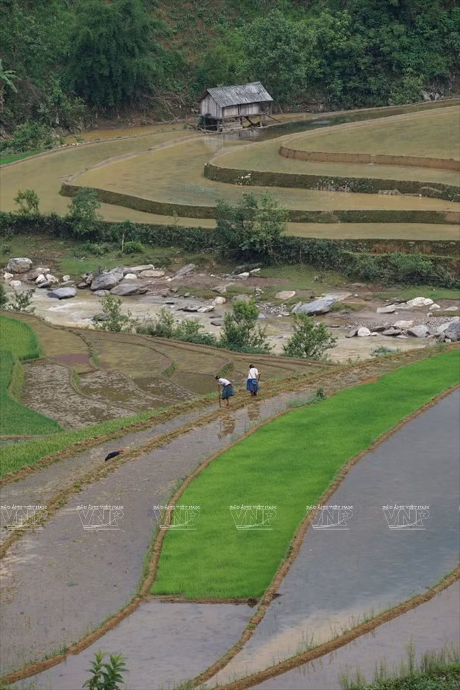 木岗寨梯田美景 ảnh 5 木岗寨梯田美景 ảnh 5