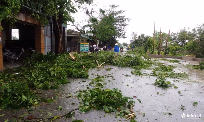 第二号台风袭击越南北部和中部各省 致使11人死亡和失踪 ảnh 1 第二号台风袭击越南北部和中部各省 致使11人死亡和失踪 ảnh 1