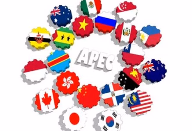 G20 – 越南与APEC 2017 ảnh 1 G20 – 越南与APEC 2017 ảnh 1