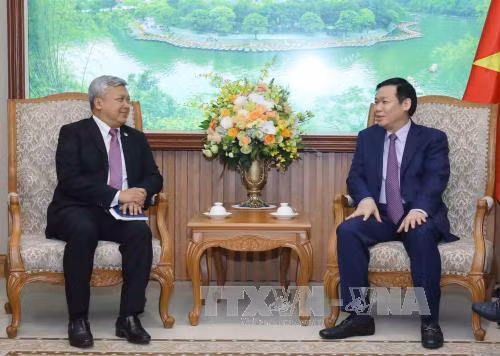 越南加强与印尼、新西兰和澳大利亚的合作 ảnh 1