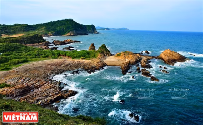 姑苏岛——吸引游客前来避暑休闲 的理想之地 ảnh 1