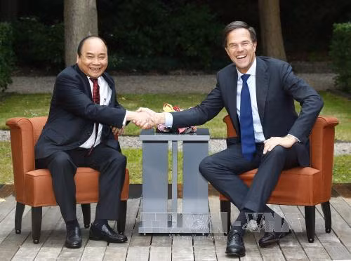 越南政府总理阮春福与荷兰首相马克·吕特举行会谈 ảnh 1