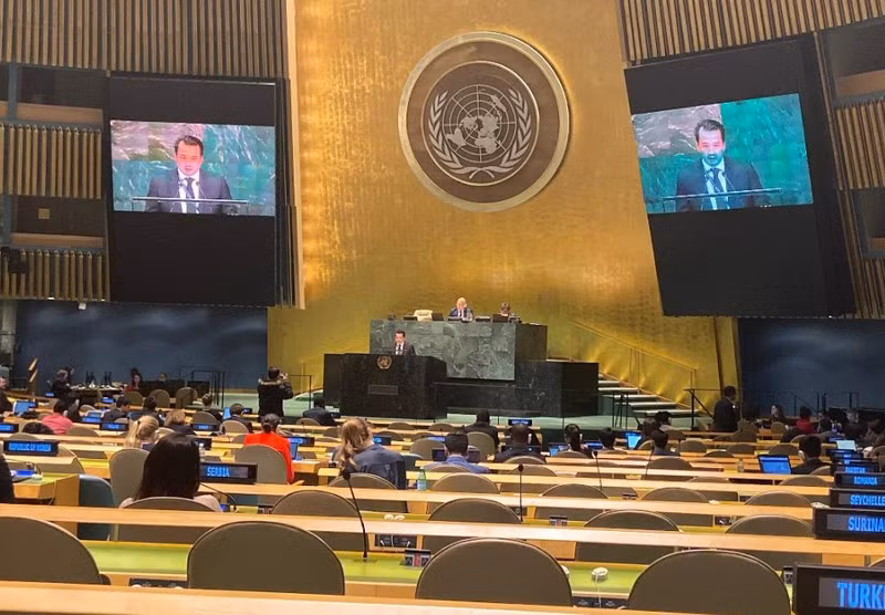 越南出席联合国关于大洋和海洋法的会议 ảnh 1 越南出席联合国关于大洋和海洋法的会议 ảnh 1