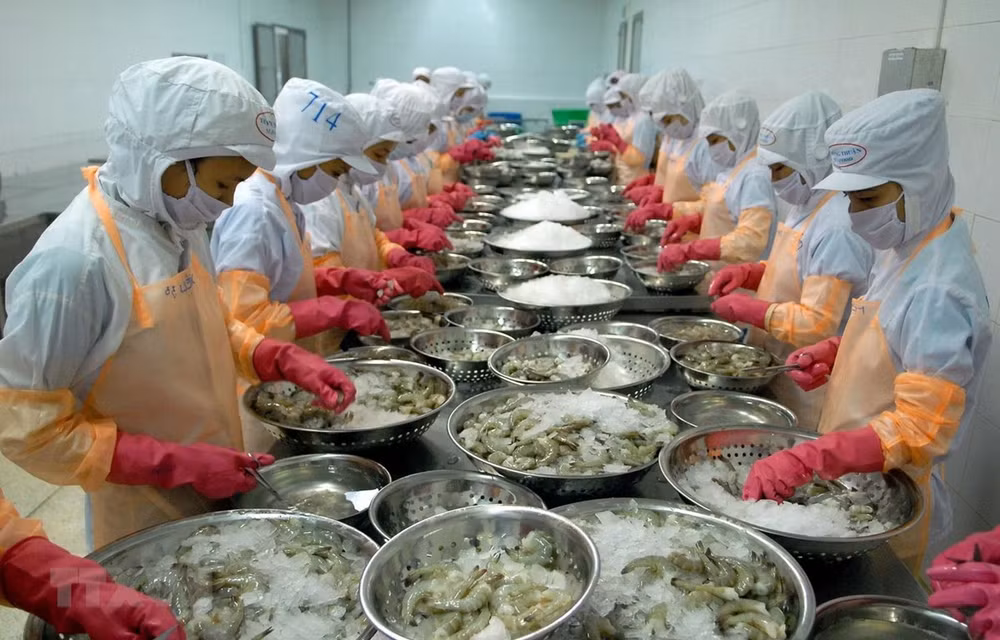 越南水产品对阿尔及利亚的出口潜力巨大 ảnh 1 越南水产品对阿尔及利亚的出口潜力巨大 ảnh 1