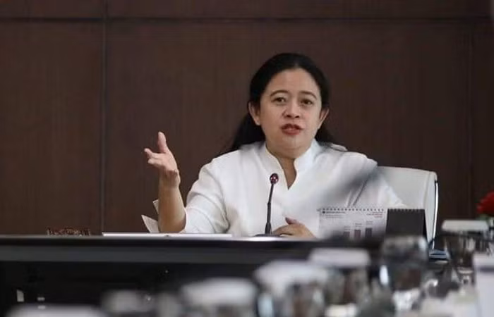 新冠肺炎疫情:新加坡未搞定大选举行时间 印尼众议院主席呼吁成立国家防疫指导委员会 ảnh 2 新冠肺炎疫情:新加坡未搞定大选举行时间 印尼众议院主席呼吁成立国家防疫指导委员会 ảnh 2