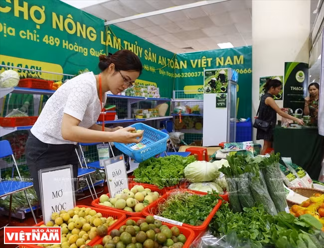 首都 “清洁农产品绿色地址” ảnh 1 首都 “清洁农产品绿色地址” ảnh 1