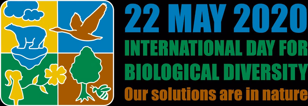 越南举行各项活动响应2020年国际生物多样性日 ảnh 1 越南举行各项活动响应2020年国际生物多样性日 ảnh 1