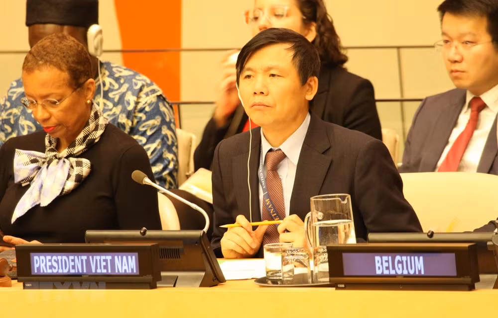 越南呼吁国际社会有关各方确保马里人民的安全 ảnh 1 越南呼吁国际社会有关各方确保马里人民的安全 ảnh 1