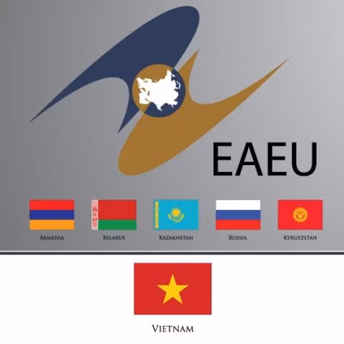 越南颁发《越南与欧亚经济联盟自由贸易协定》原产地规则的实施细则 ảnh 1