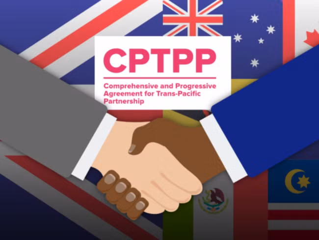CPTPP成员讨论英国申请加入事宜 ảnh 1