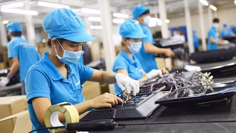 使用30万亿越盾失业保险基金结余支持受疫情影响企业和劳动者 ảnh 1