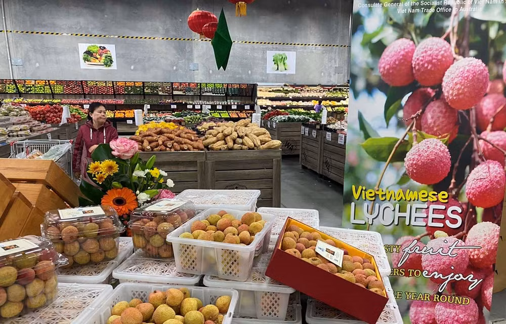 越南农产品纷纷抢占澳大利亚市场 ảnh 1