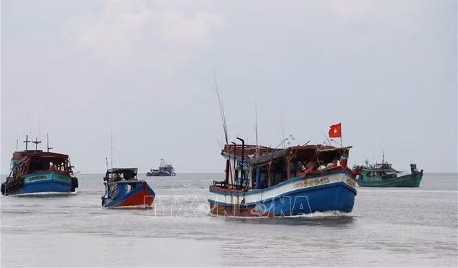 越南有效监测渔船致力于解除“黄牌”警告 ảnh 1 越南有效监测渔船致力于解除“黄牌”警告 ảnh 1