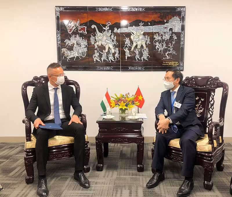 第76届联合国大会：越南外长裴青山在会议间隙会见多国外长 ảnh 3