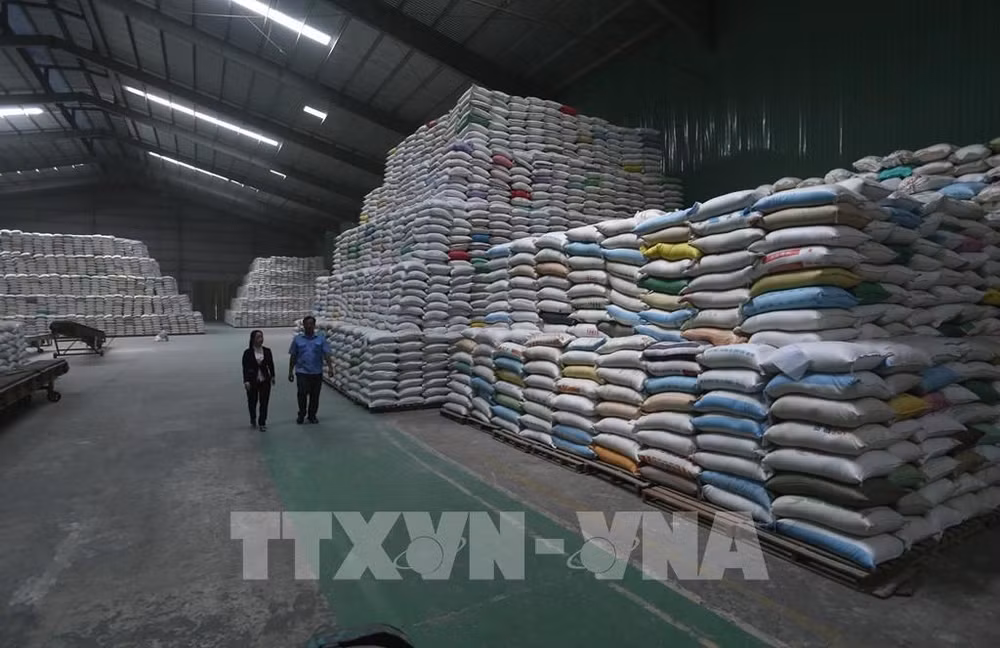 继续向胡志明市发放逾56555吨大米援助受疫情影响的民众 ảnh 1 继续向胡志明市发放逾56555吨大米援助受疫情影响的民众 ảnh 1