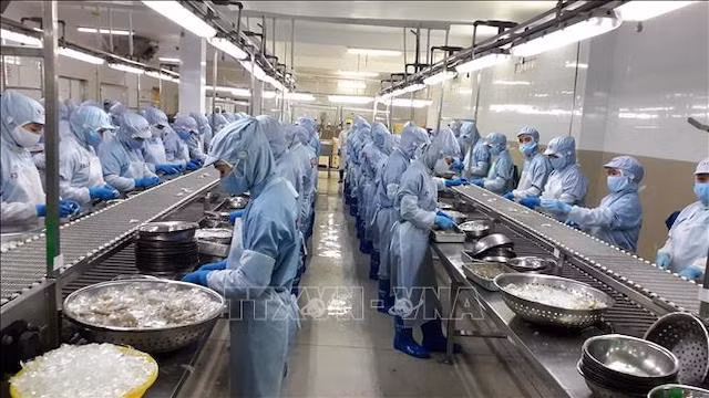 2021年前8个月越南农林水产品贸易顺差萎缩至33亿美元 ảnh 1 2021年前8个月越南农林水产品贸易顺差萎缩至33亿美元 ảnh 1