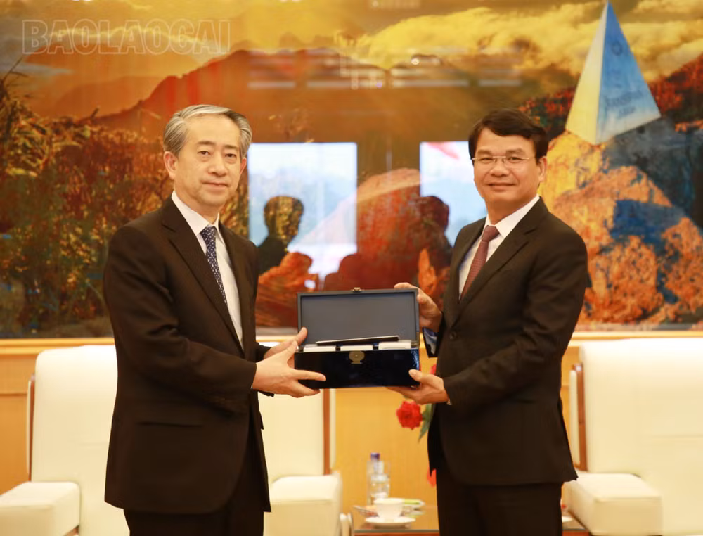 促进越南与中国贸易往来 ảnh 1 促进越南与中国贸易往来 ảnh 1
