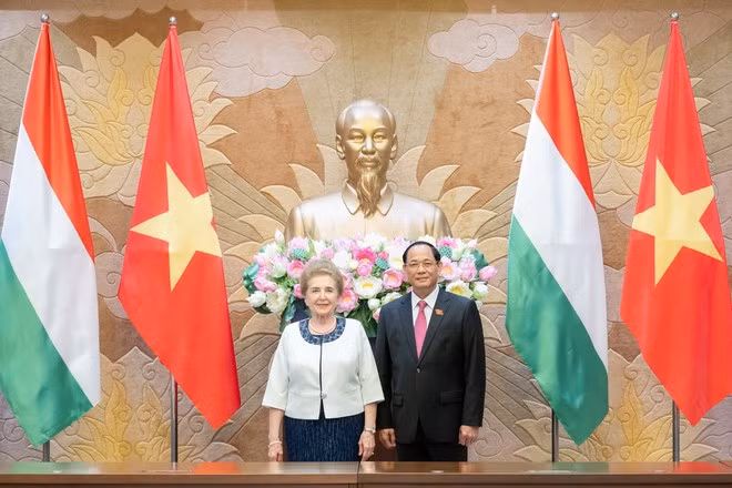 提高越匈两国各项合作协议效果 ảnh 1