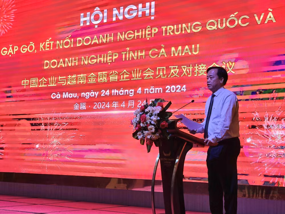 金瓯省与中国企业推动经贸交流合作 ảnh 1