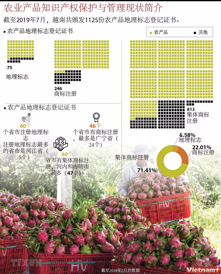 图表新闻：农业产品知识产权保护与管理现状简介 ảnh 1