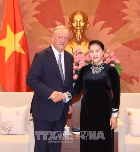 越南国会主席阮氏金银会见德勤全球主席柯睿尚 ảnh 1 越南国会主席阮氏金银会见德勤全球主席柯睿尚 ảnh 1