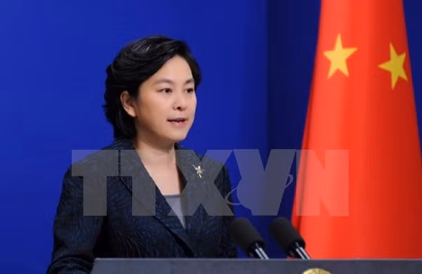 中国外交部发言人华春莹：中国将尽快向越南提供所需援助物资 ảnh 1