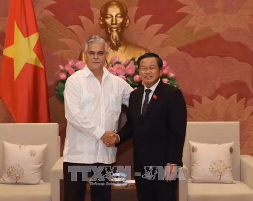 越共中央民运部部长张氏梅会见古巴保护革命委员会代表团 ảnh 2 越共中央民运部部长张氏梅会见古巴保护革命委员会代表团 ảnh 2