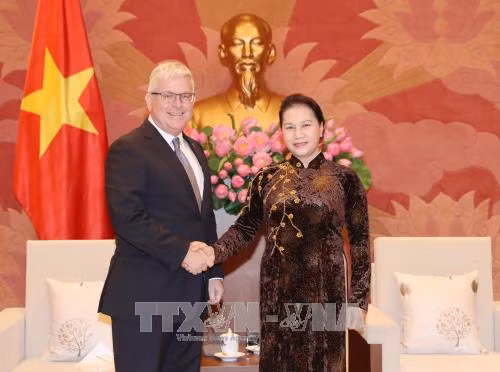 越南国会主席阮氏金银会见澳大利亚驻越大使克雷格•奇蒂克 ảnh 1 越南国会主席阮氏金银会见澳大利亚驻越大使克雷格•奇蒂克 ảnh 1