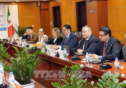 越南与墨西哥合作潜力仍巨大 ảnh 2 越南与墨西哥合作潜力仍巨大 ảnh 2