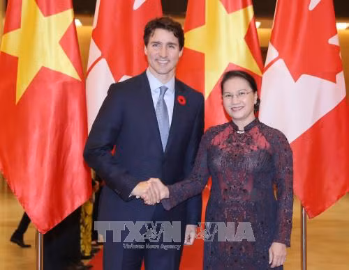 越共中央总书记阮富仲与国会主席阮氏金银分别会见加拿大总理特鲁多 ảnh 2 越共中央总书记阮富仲与国会主席阮氏金银分别会见加拿大总理特鲁多 ảnh 2