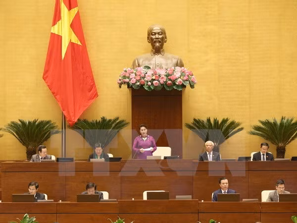 第十四届国会第四次会议质询会正式开幕 4位部长接受代表质询 ảnh 1