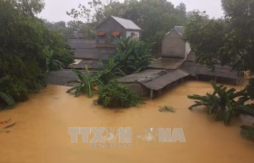 强台风“达维”造成越南44人死亡19人失踪 经济损失惨重 ảnh 1 强台风“达维”造成越南44人死亡19人失踪 经济损失惨重 ảnh 1