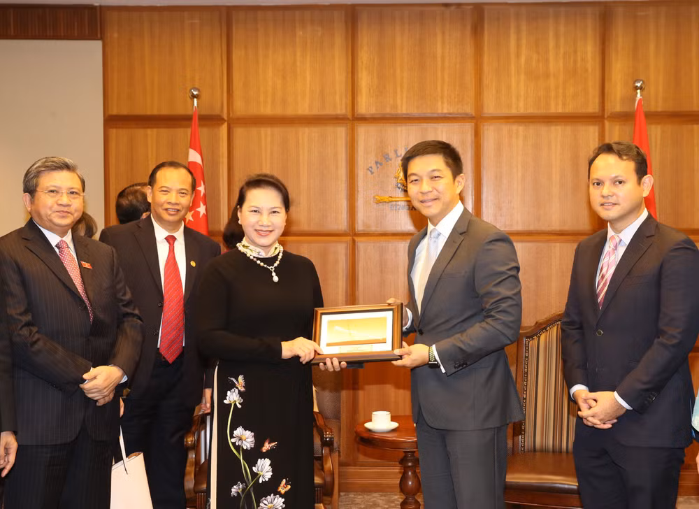 越南国会主席阮氏金银与新加坡国会议长陈川仁举行会谈 ảnh 2