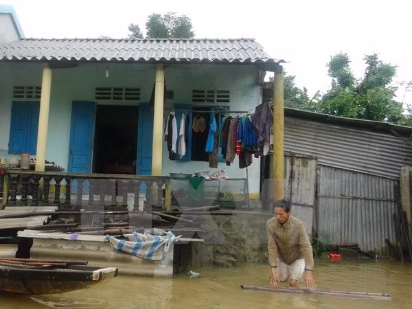 欧盟愿意帮助越南开展台风灾后恢复重建工作 ảnh 1 欧盟愿意帮助越南开展台风灾后恢复重建工作 ảnh 1