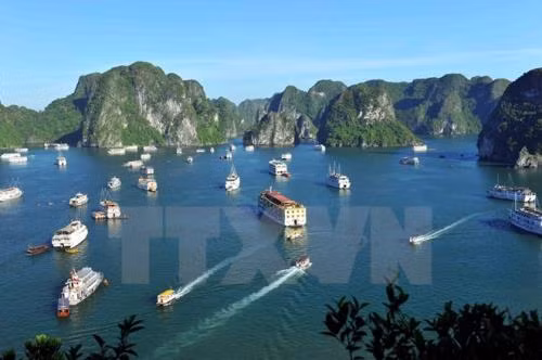 2018年国家旅游年期间将举行许多精彩活动 ảnh 2