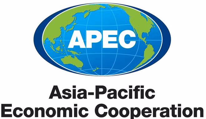 2017年APEC会议:韩国专家对越南在融入世界经济的积极作用予以高度评价 ảnh 1 2017年APEC会议:韩国专家对越南在融入世界经济的积极作用予以高度评价 ảnh 1