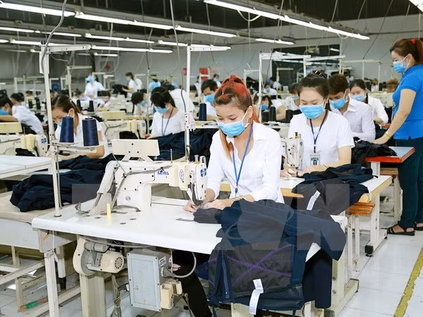 没有TPP，越南纺织服装产品对美出口潜力仍较大 ảnh 1