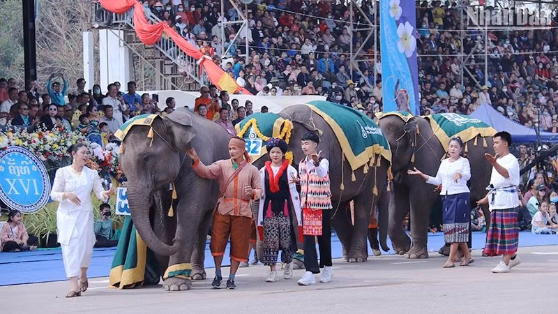 老挝提出2024年旅游营业收入超过7亿美元的目标 ảnh 1