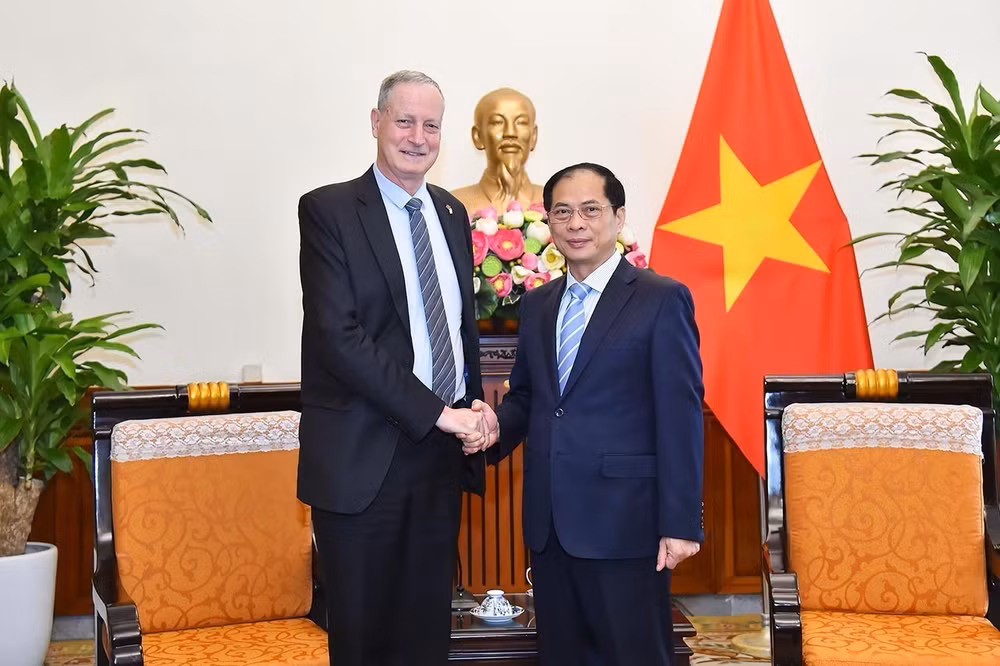 越南外交部部长裴青山会见以色列驻越大使 ảnh 1